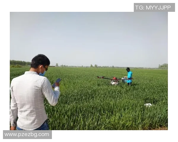 荷兰足球明星选择绿色出行拒绝搭乘飞机倡导环保生活方式